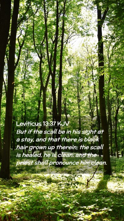 Picture 02 - Leviticus 13:37 KJV Mobile Phone Wallpaper - But if the scall be in his sight at a stay, and - Mobile Bible Verse Wallpaper