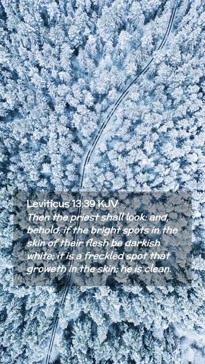 Picture 02 - Leviticus 13:39 KJV Mobile Phone Wallpaper - Then the priest shall look: and, behold, if the - Mobile Bible Verse Wallpaper