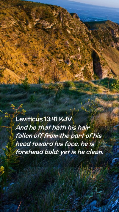 Picture 02 - Leviticus 13:41 KJV Mobile Phone Wallpaper - And he that hath his hair fallen off from the - Mobile Bible Verse Wallpaper