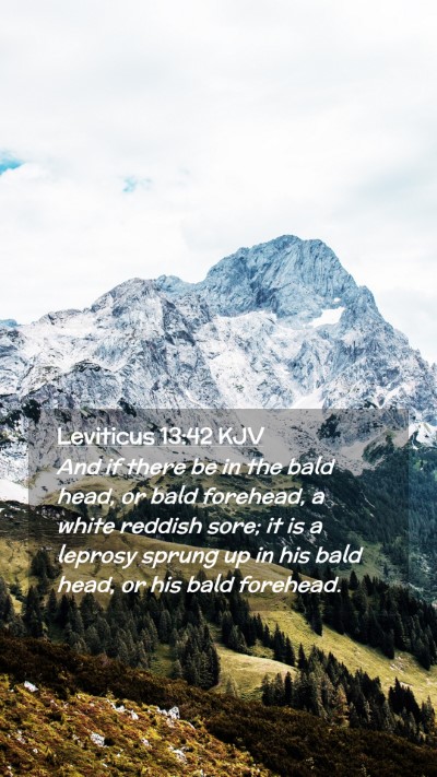 Picture 02 - Leviticus 13:42 KJV Mobile Phone Wallpaper - And if there be in the bald head, or bald - Mobile Bible Verse Wallpaper