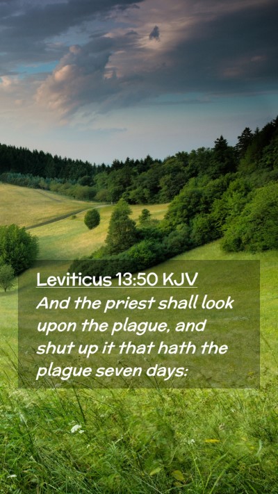 Picture 02 - Leviticus 13:50 KJV Mobile Phone Wallpaper - And the priest shall look upon the plague, and - Mobile Bible Verse Wallpaper