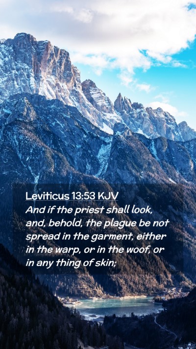 Picture 02 - Leviticus 13:53 KJV Mobile Phone Wallpaper - And if the priest shall look, and, behold, the - Mobile Bible Verse Wallpaper