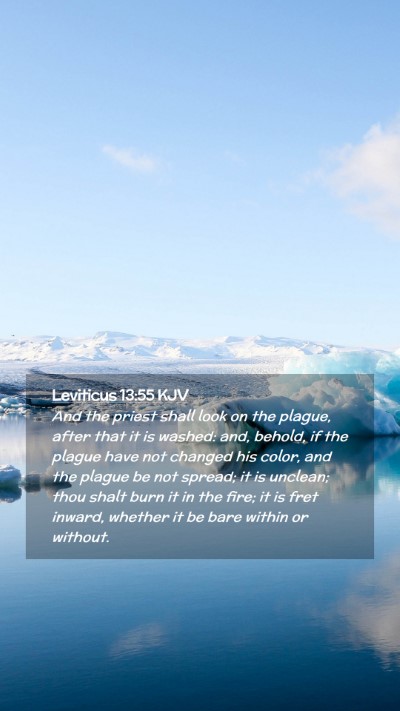 Picture 02 - Leviticus 13:55 KJV Mobile Phone Wallpaper - And the priest shall look on the plague, after - Mobile Bible Verse Wallpaper