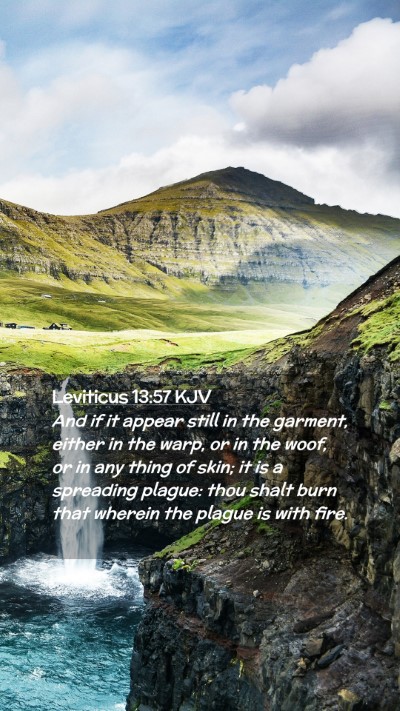 Picture 02 - Leviticus 13:57 KJV Mobile Phone Wallpaper - And if it appear still in the garment, either in - Mobile Bible Verse Wallpaper