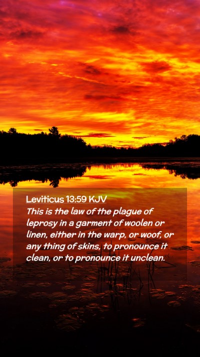 Picture 02 - Leviticus 13:59 KJV Mobile Phone Wallpaper - This is the law of the plague of leprosy in a - Mobile Bible Verse Wallpaper