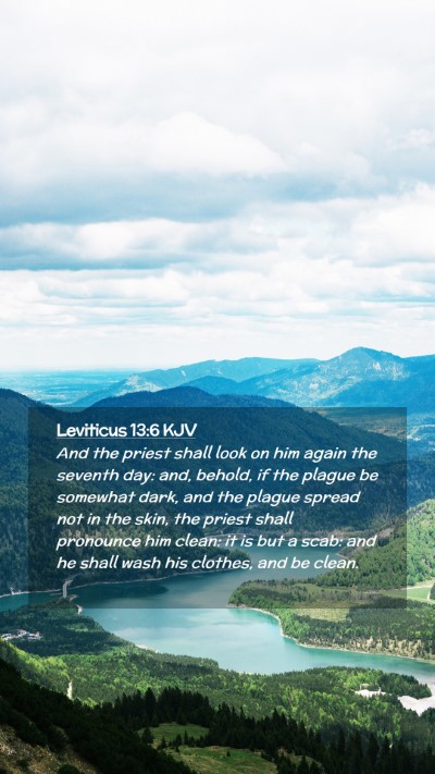 Picture 02 - Leviticus 13:6 KJV Mobile Phone Wallpaper - And the priest shall look on him again the - Mobile Bible Verse Wallpaper