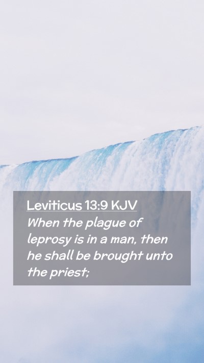 Picture 02 - Leviticus 13:9 KJV Mobile Phone Wallpaper - When the plague of leprosy is in a man, then he - Mobile Bible Verse Wallpaper