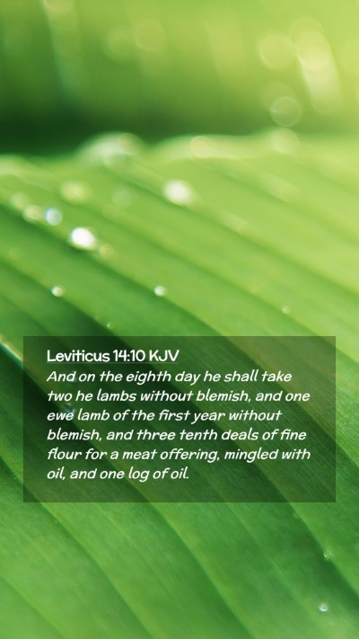 Picture 02 - Leviticus 14:10 KJV Mobile Phone Wallpaper - And on the eighth day he shall take two he lambs - Mobile Bible Verse Wallpaper