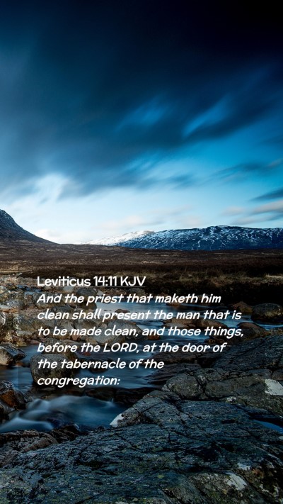 Picture 02 - Leviticus 14:11 KJV Mobile Phone Wallpaper - And the priest that maketh him clean shall - Mobile Bible Verse Wallpaper