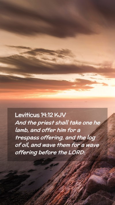 Picture 02 - Leviticus 14:12 KJV Mobile Phone Wallpaper - And the priest shall take one he lamb, and offer - Mobile Bible Verse Wallpaper