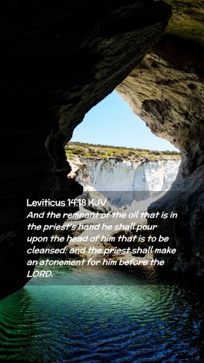 Picture 02 - Leviticus 14:18 KJV Mobile Phone Wallpaper - And the remnant of the oil that is in the - Mobile Bible Verse Wallpaper