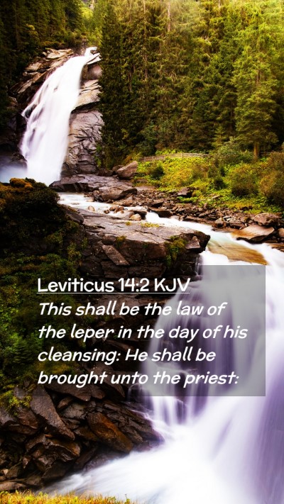 Picture 02 - Leviticus 14:2 KJV Mobile Phone Wallpaper - This shall be the law of the leper in the day of - Mobile Bible Verse Wallpaper