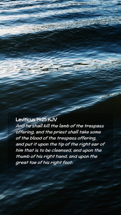 Picture 02 - Leviticus 14:25 KJV Mobile Phone Wallpaper - And he shall kill the lamb of the trespass - Mobile Bible Verse Wallpaper