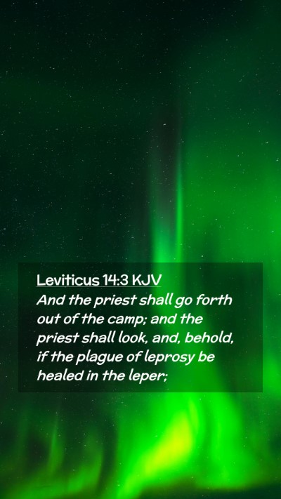 Picture 02 - Leviticus 14:3 KJV Mobile Phone Wallpaper - And the priest shall go forth out of the camp; - Mobile Bible Verse Wallpaper