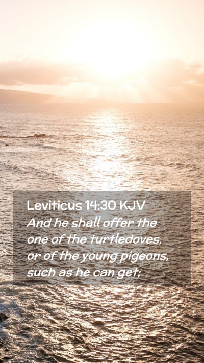 Picture 02 - Leviticus 14:30 KJV Mobile Phone Wallpaper - And he shall offer the one of the turtledoves, or - Mobile Bible Verse Wallpaper