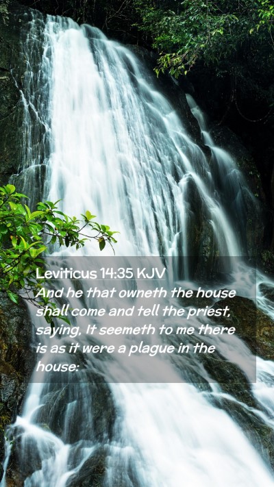 Picture 02 - Leviticus 14:35 KJV Mobile Phone Wallpaper - And he that owneth the house shall come and tell - Mobile Bible Verse Wallpaper