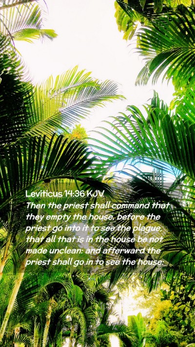 Picture 02 - Leviticus 14:36 KJV Mobile Phone Wallpaper - Then the priest shall command that they empty the - Mobile Bible Verse Wallpaper