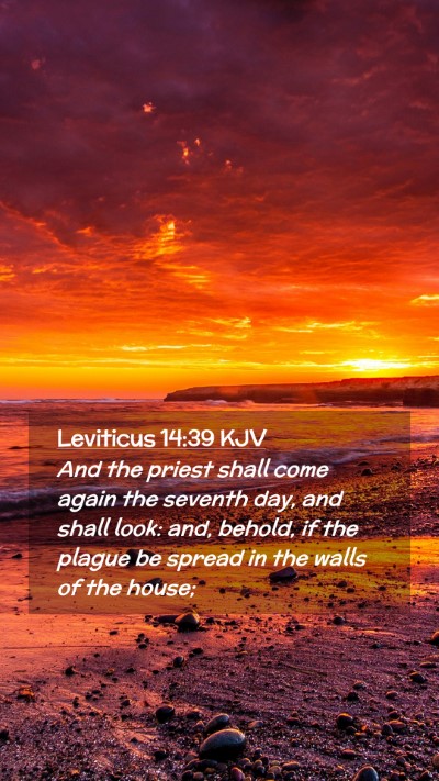 Picture 02 - Leviticus 14:39 KJV Mobile Phone Wallpaper - And the priest shall come again the seventh day, - Mobile Bible Verse Wallpaper