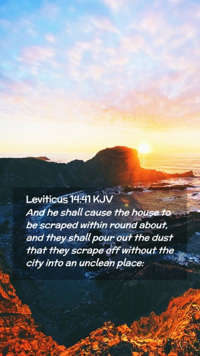 Picture 02 - Leviticus 14:41 KJV Mobile Phone Wallpaper - And he shall cause the house to be scraped within - Mobile Bible Verse Wallpaper