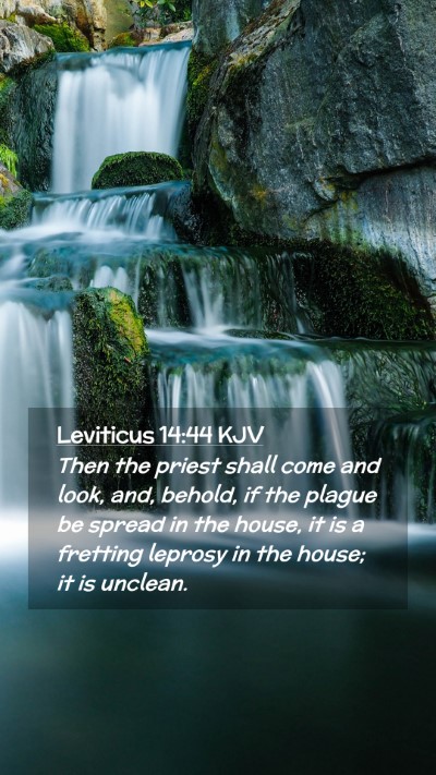 Picture 02 - Leviticus 14:44 KJV Mobile Phone Wallpaper - Then the priest shall come and look, and, behold, - Mobile Bible Verse Wallpaper