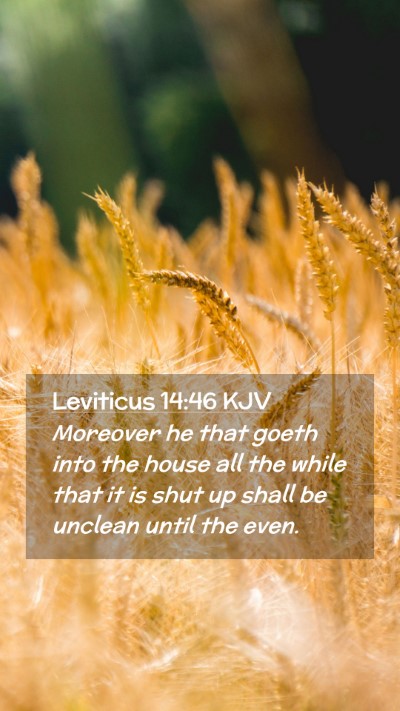 Picture 02 - Leviticus 14:46 KJV Mobile Phone Wallpaper - Moreover he that goeth into the house all the - Mobile Bible Verse Wallpaper
