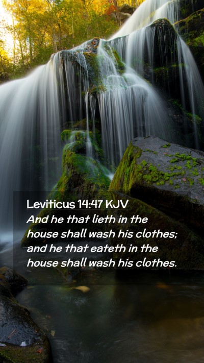 Picture 02 - Leviticus 14:47 KJV Mobile Phone Wallpaper - And he that lieth in the house shall wash his - Mobile Bible Verse Wallpaper