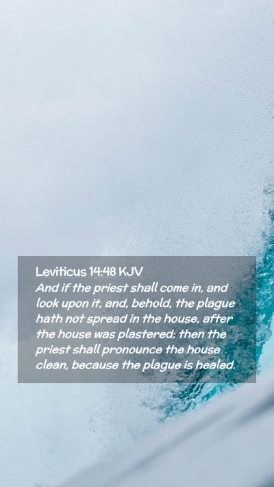 Picture 02 - Leviticus 14:48 KJV Mobile Phone Wallpaper - And if the priest shall come in, and look upon - Mobile Bible Verse Wallpaper