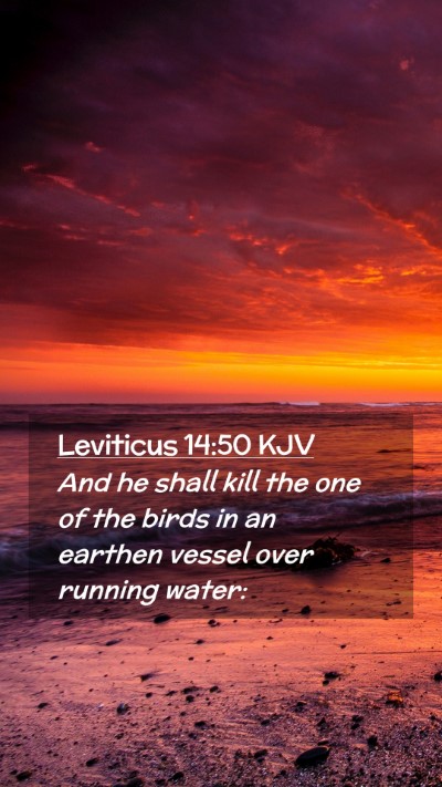 Picture 02 - Leviticus 14:50 KJV Mobile Phone Wallpaper - And he shall kill the one of the birds in an - Mobile Bible Verse Wallpaper
