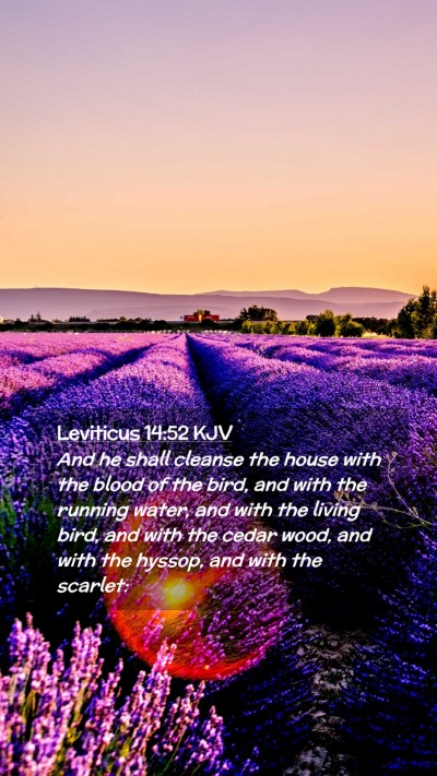 Picture 02 - Leviticus 14:52 KJV Mobile Phone Wallpaper - And he shall cleanse the house with the blood of - Mobile Bible Verse Wallpaper