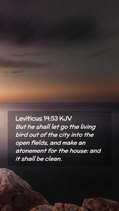 Picture 02 - Leviticus 14:53 KJV Mobile Phone Wallpaper - But he shall let go the living bird out of the - Mobile Bible Verse Wallpaper