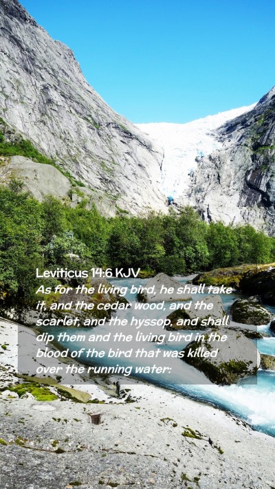 Picture 02 - Leviticus 14:6 KJV Mobile Phone Wallpaper - As for the living bird, he shall take it, and the - Mobile Bible Verse Wallpaper