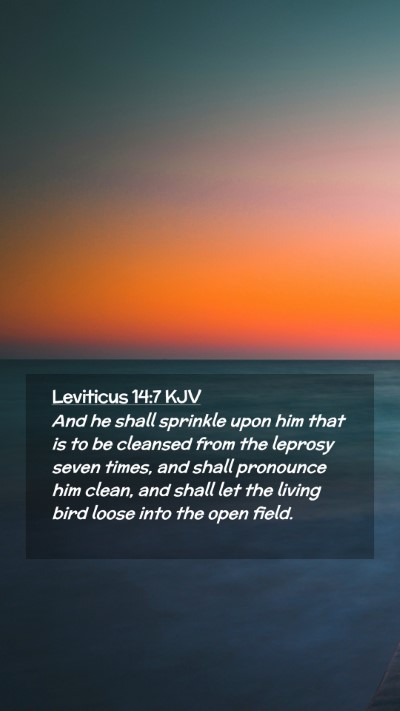 Picture 02 - Leviticus 14:7 KJV Mobile Phone Wallpaper - And he shall sprinkle upon him that is to be - Mobile Bible Verse Wallpaper