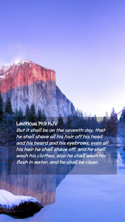 Picture 02 - Leviticus 14:9 KJV Mobile Phone Wallpaper - But it shall be on the seventh day, that he shall - Mobile Bible Verse Wallpaper