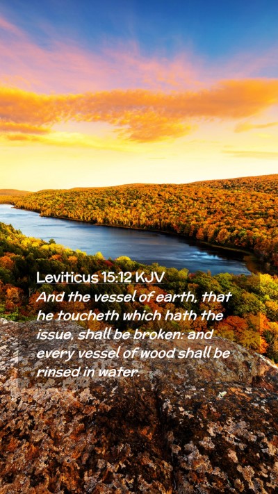 Picture 02 - Leviticus 15:12 KJV Mobile Phone Wallpaper - And the vessel of earth, that he toucheth which - Mobile Bible Verse Wallpaper