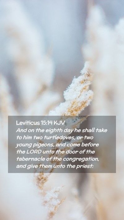 Picture 02 - Leviticus 15:14 KJV Mobile Phone Wallpaper - And on the eighth day he shall take to him two - Mobile Bible Verse Wallpaper