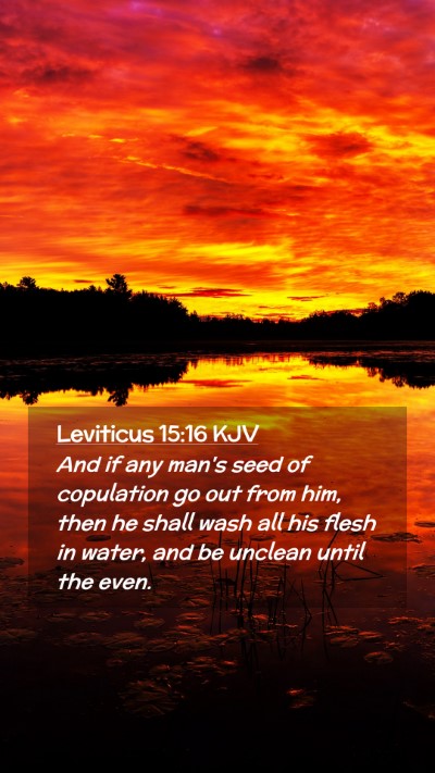 Picture 02 - Leviticus 15:16 KJV Mobile Phone Wallpaper - And if any man's seed of copulation go out from - Mobile Bible Verse Wallpaper