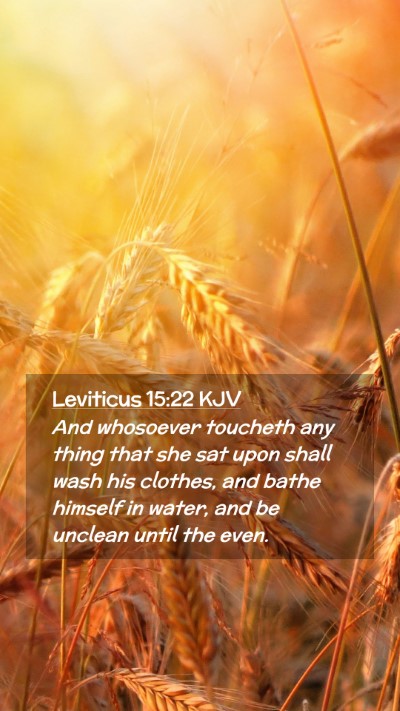 Picture 02 - Leviticus 15:22 KJV Mobile Phone Wallpaper - And whosoever toucheth any thing that she sat - Mobile Bible Verse Wallpaper
