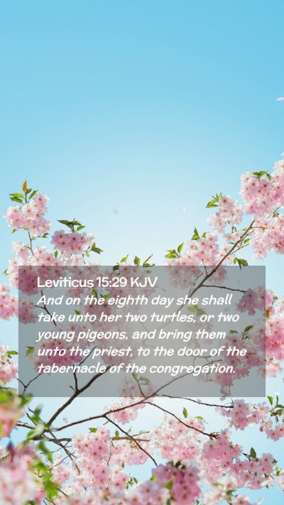 Picture 02 - Leviticus 15:29 KJV Mobile Phone Wallpaper - And on the eighth day she shall take unto her two - Mobile Bible Verse Wallpaper