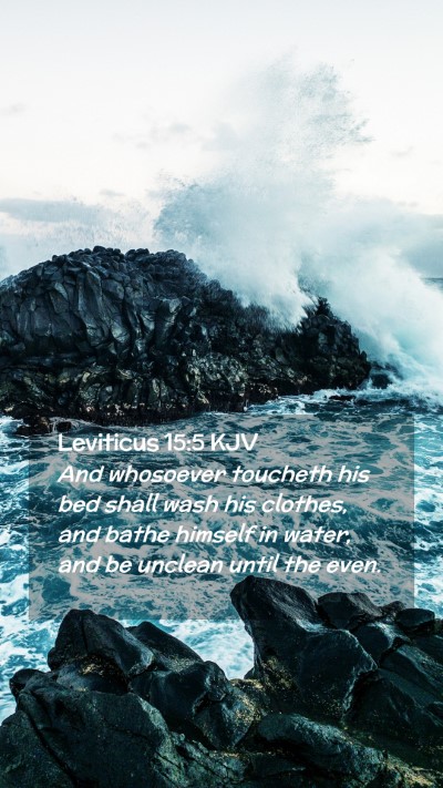 Picture 02 - Leviticus 15:5 KJV Mobile Phone Wallpaper - And whosoever toucheth his bed shall wash his - Mobile Bible Verse Wallpaper
