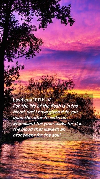 Picture 02 - Leviticus 17:11 KJV Mobile Phone Wallpaper - For the life of the flesh is in the blood: and I - Mobile Bible Verse Wallpaper