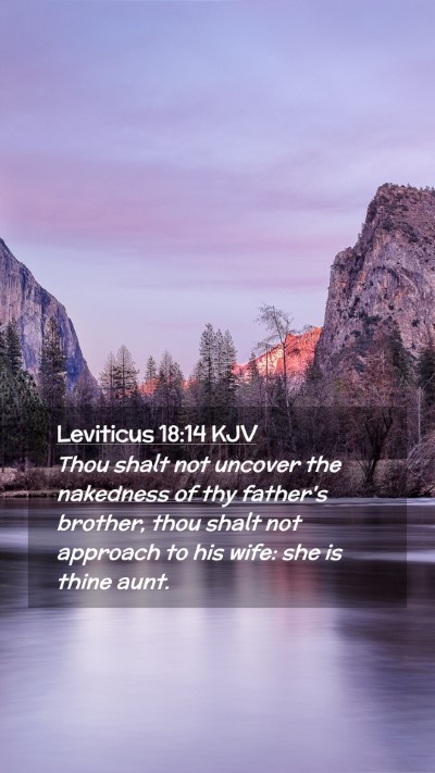 Picture 02 - Leviticus 18:14 KJV Mobile Phone Wallpaper - Thou shalt not uncover the nakedness of thy - Mobile Bible Verse Wallpaper