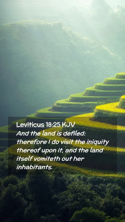 Picture 02 - Leviticus 18:25 KJV Mobile Phone Wallpaper - And the land is defiled: therefore I do visit the - Mobile Bible Verse Wallpaper