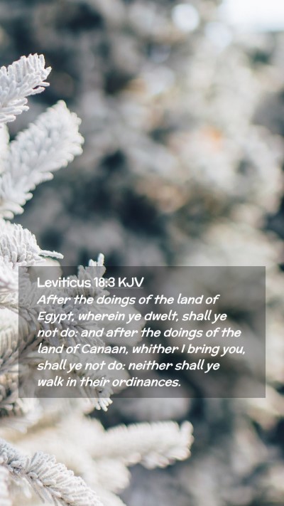 Picture 02 - Leviticus 18:3 KJV Mobile Phone Wallpaper - After the doings of the land of Egypt, wherein ye - Mobile Bible Verse Wallpaper