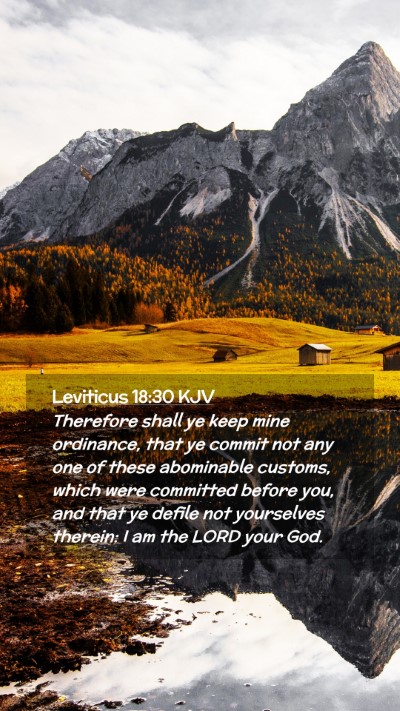 Picture 02 - Leviticus 18:30 KJV Mobile Phone Wallpaper - Therefore shall ye keep mine ordinance, that ye - Mobile Bible Verse Wallpaper