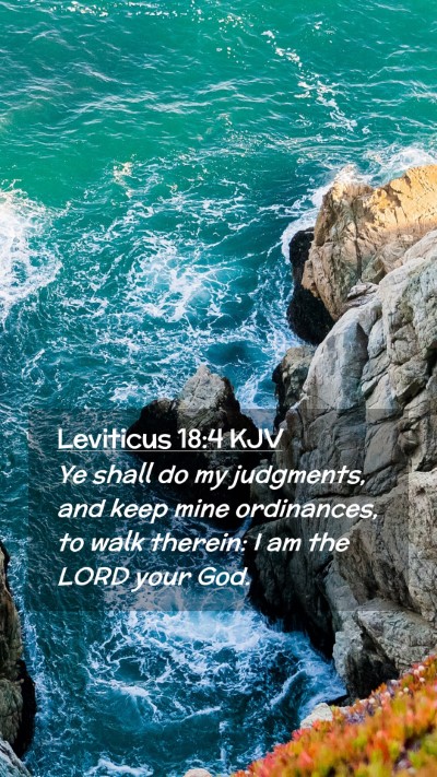 Picture 02 - Leviticus 18:4 KJV Mobile Phone Wallpaper - Ye shall do my judgments, and keep mine - Mobile Bible Verse Wallpaper