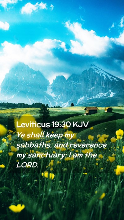 Picture 02 - Leviticus 19:30 KJV Mobile Phone Wallpaper - Ye shall keep my sabbaths, and reverence my - Mobile Bible Verse Wallpaper