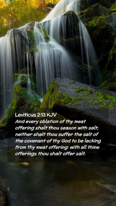 Picture 02 - Leviticus 2:13 KJV Mobile Phone Wallpaper - And every oblation of thy meat offering shalt - Mobile Bible Verse Wallpaper