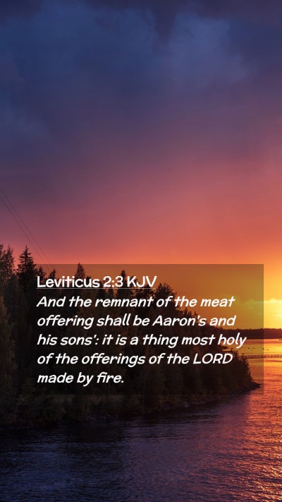 Picture 02 - Leviticus 2:3 KJV Mobile Phone Wallpaper - And the remnant of the meat offering shall be - Mobile Bible Verse Wallpaper