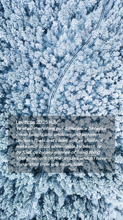 Picture 02 - Leviticus 20:25 KJV Mobile Phone Wallpaper - Ye shall therefore put difference between clean - Mobile Bible Verse Wallpaper
