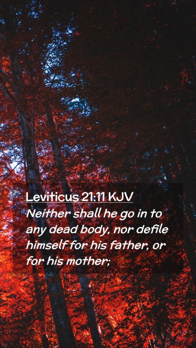 Picture 02 - Leviticus 21:11 KJV Mobile Phone Wallpaper - Neither shall he go in to any dead body, nor - Mobile Bible Verse Wallpaper